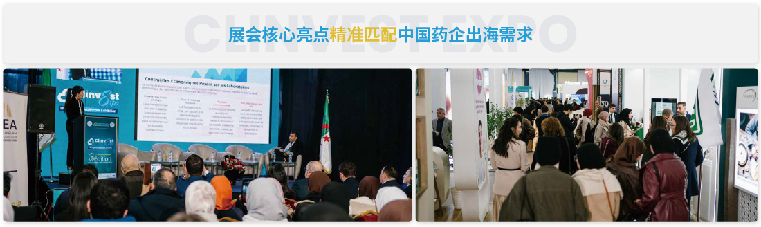 电脑版阿尔及利亚-02.jpg